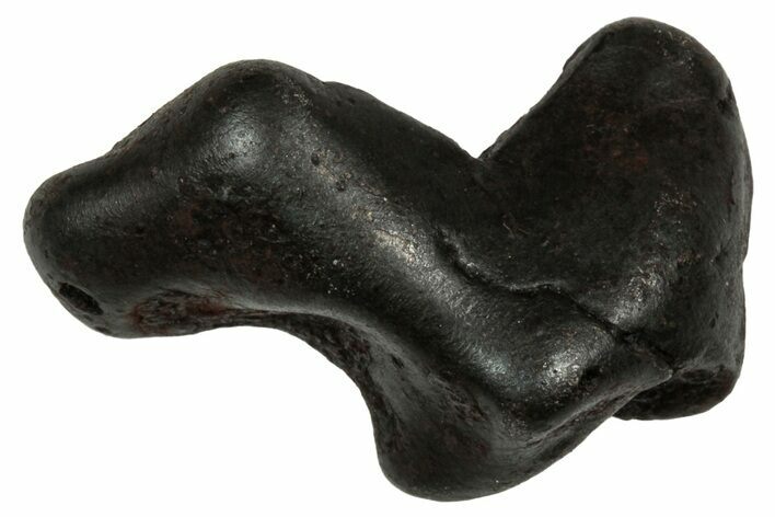 Fusion Crusted Sikhote-Alin Iron Meteorite ( g) - Russia #334558